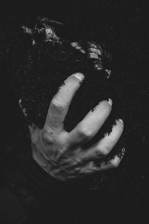 [archive] el verbo proyectar